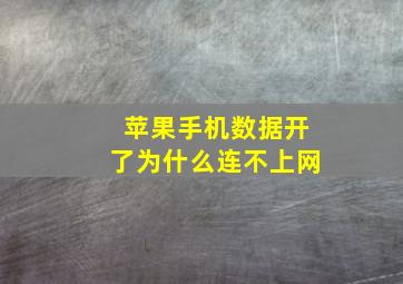 苹果手机数据开了为什么连不上网