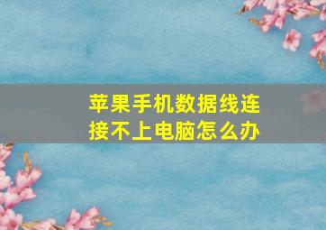 苹果手机数据线连接不上电脑怎么办