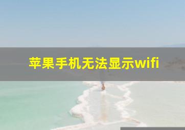 苹果手机无法显示wifi