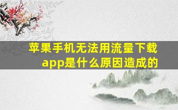 苹果手机无法用流量下载app是什么原因造成的