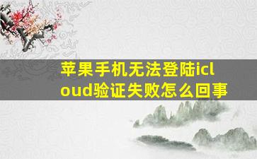 苹果手机无法登陆icloud验证失败怎么回事