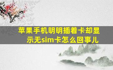 苹果手机明明插着卡却显示无sim卡怎么回事儿