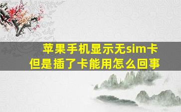 苹果手机显示无sim卡但是插了卡能用怎么回事