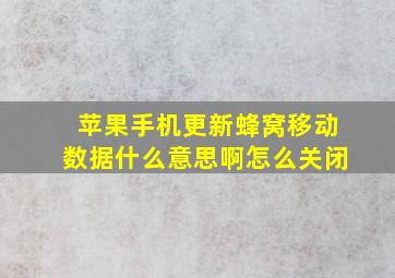 苹果手机更新蜂窝移动数据什么意思啊怎么关闭