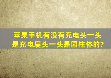 苹果手机有没有充电头一头是充电扁头一头是园柱体的?