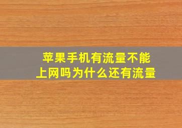 苹果手机有流量不能上网吗为什么还有流量