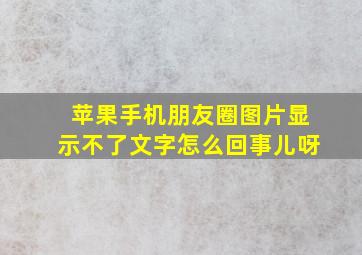 苹果手机朋友圈图片显示不了文字怎么回事儿呀