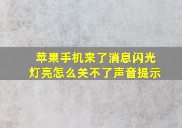 苹果手机来了消息闪光灯亮怎么关不了声音提示