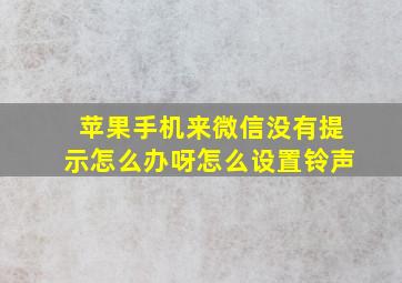 苹果手机来微信没有提示怎么办呀怎么设置铃声