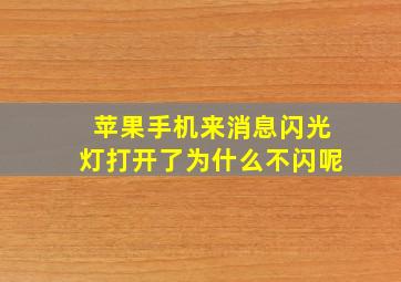 苹果手机来消息闪光灯打开了为什么不闪呢