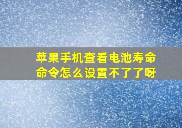 苹果手机查看电池寿命命令怎么设置不了了呀