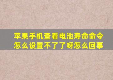 苹果手机查看电池寿命命令怎么设置不了了呀怎么回事