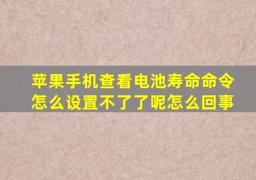 苹果手机查看电池寿命命令怎么设置不了了呢怎么回事