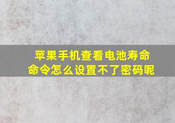 苹果手机查看电池寿命命令怎么设置不了密码呢