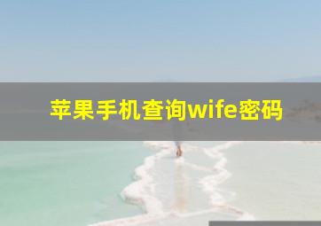 苹果手机查询wife密码