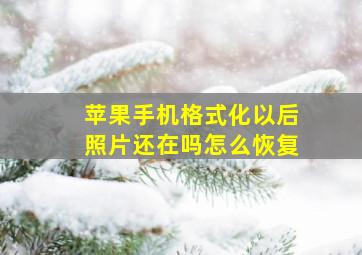 苹果手机格式化以后照片还在吗怎么恢复