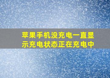 苹果手机没充电一直显示充电状态正在充电中