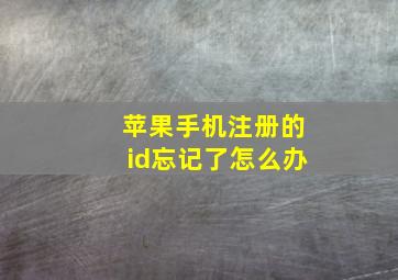 苹果手机注册的id忘记了怎么办