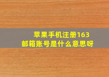 苹果手机注册163邮箱账号是什么意思呀