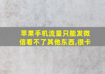 苹果手机流量只能发微信看不了其他东西,很卡