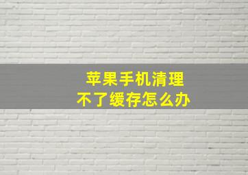 苹果手机清理不了缓存怎么办