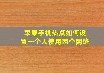 苹果手机热点如何设置一个人使用两个网络