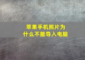 苹果手机照片为什么不能导入电脑