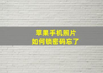 苹果手机照片如何锁密码忘了