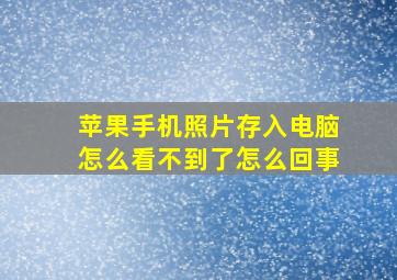 苹果手机照片存入电脑怎么看不到了怎么回事