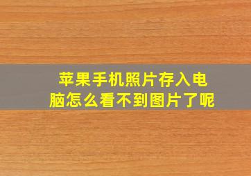 苹果手机照片存入电脑怎么看不到图片了呢