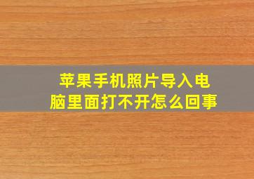 苹果手机照片导入电脑里面打不开怎么回事