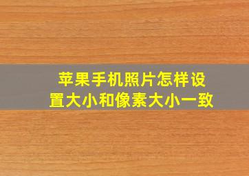 苹果手机照片怎样设置大小和像素大小一致