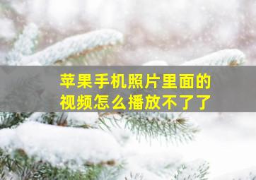 苹果手机照片里面的视频怎么播放不了了