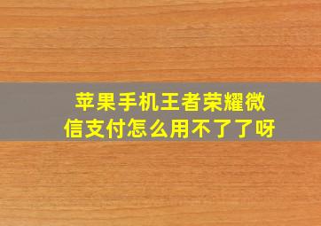 苹果手机王者荣耀微信支付怎么用不了了呀