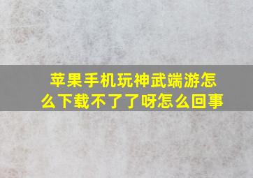 苹果手机玩神武端游怎么下载不了了呀怎么回事