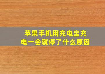 苹果手机用充电宝充电一会就停了什么原因