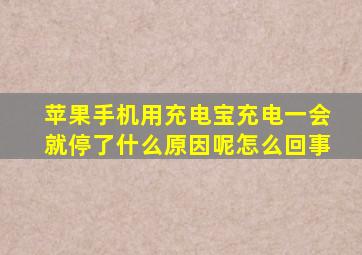 苹果手机用充电宝充电一会就停了什么原因呢怎么回事