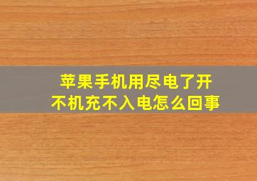 苹果手机用尽电了开不机充不入电怎么回事