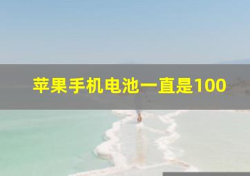 苹果手机电池一直是100