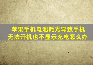 苹果手机电池耗光导致手机无法开机也不显示充电怎么办