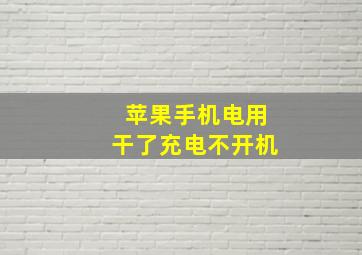 苹果手机电用干了充电不开机