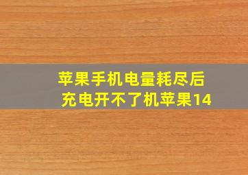 苹果手机电量耗尽后充电开不了机苹果14