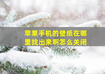 苹果手机的壁纸在哪里找出来啊怎么关闭