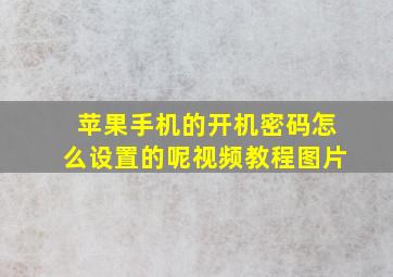 苹果手机的开机密码怎么设置的呢视频教程图片