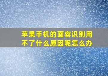 苹果手机的面容识别用不了什么原因呢怎么办