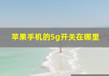 苹果手机的5g开关在哪里