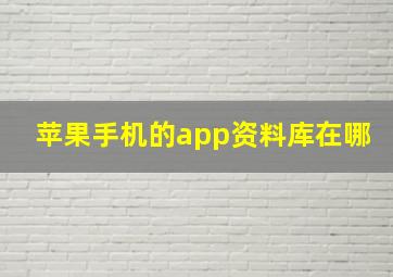 苹果手机的app资料库在哪