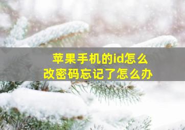 苹果手机的id怎么改密码忘记了怎么办