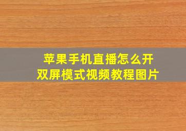 苹果手机直播怎么开双屏模式视频教程图片