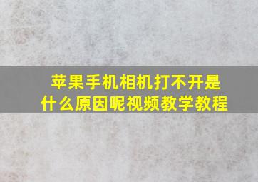 苹果手机相机打不开是什么原因呢视频教学教程